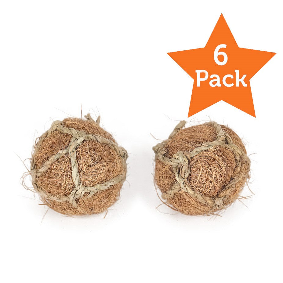 Nature Island - Coco Fiber Ball - 2 pack - Petservo