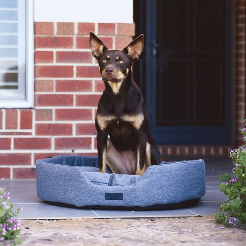 Baxter Bone - Outdoor Water Resistant Removable Cushion Pet Bed - Large - Grey - petservo