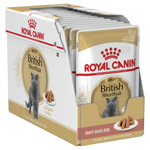 Royal Canin - British Shorthair Adult Wet Cat Food Pouches 85g x 12 - Petservo