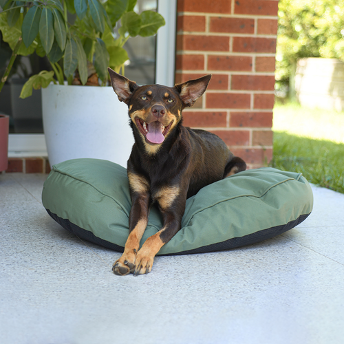 Baxter Bone - Outdoor Ripstop Water Resistant Oval Pillow Bed With Removable Cover