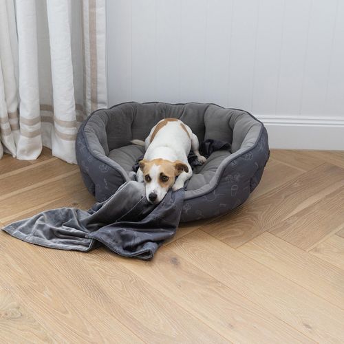 Baxter Bone - Thumb Luxe Soft Minky Pet Blanket - Medium - Charcoal - petservo