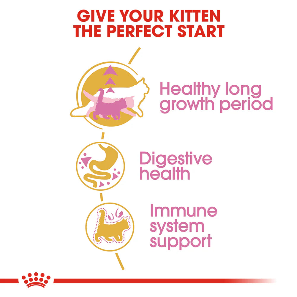 Royal Canin - Cat Maine Coon Kitten Dry Food - Petservo