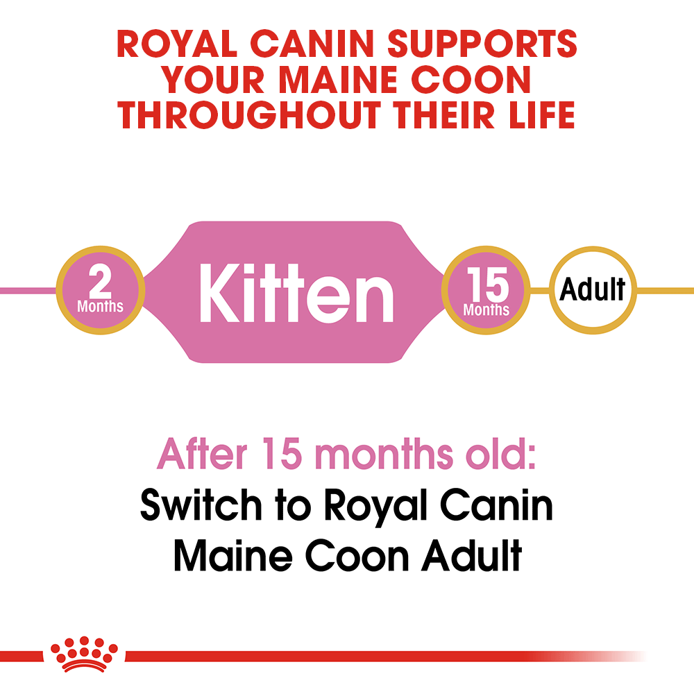 Royal Canin - Cat Maine Coon Kitten Dry Food - Petservo