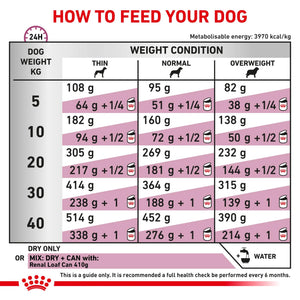 Royal Canin - Veterinary Diet Renal Special Adult Dry Dog Food 2kg - Petservo