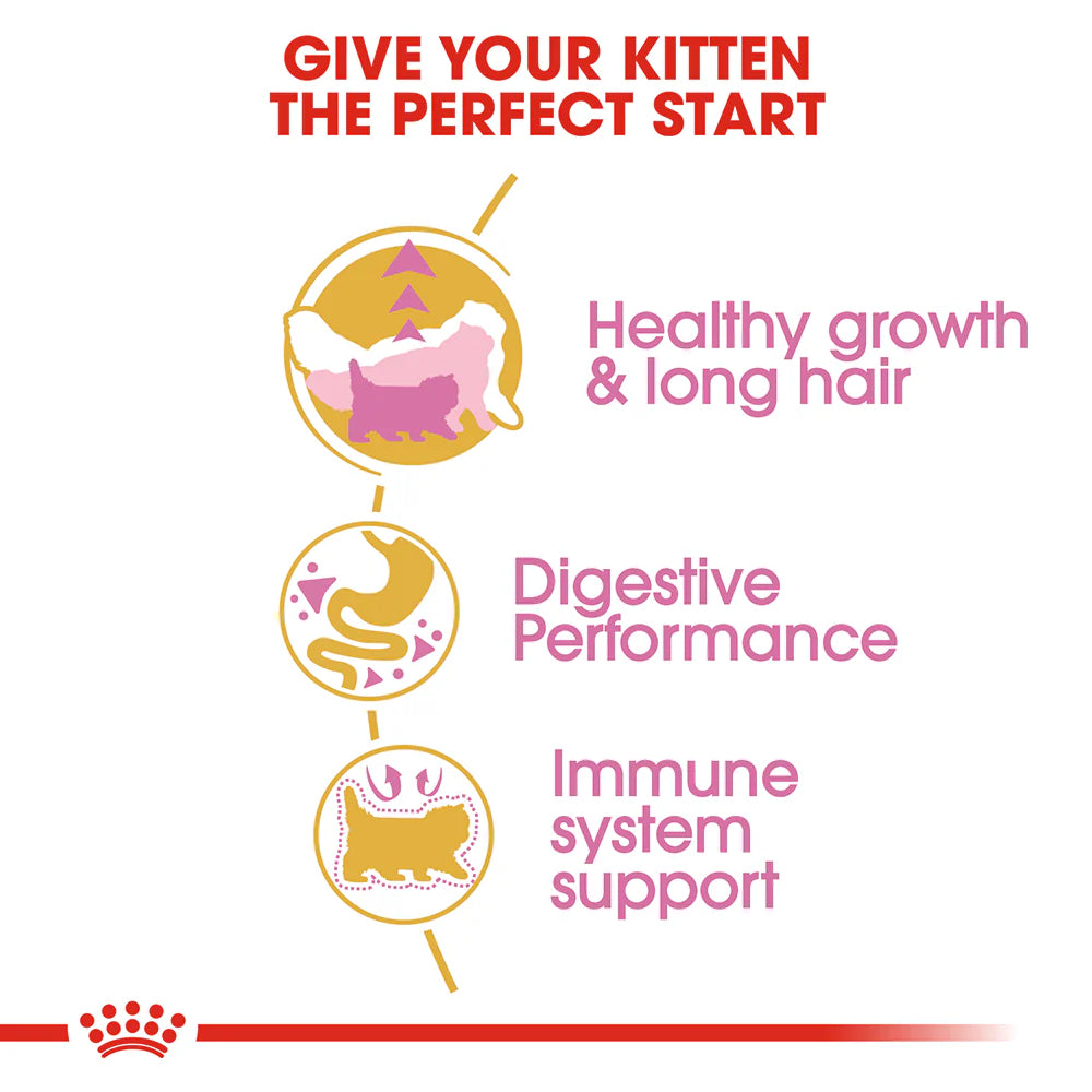 Royal Canin - Cat Persian Kitten Dry Food - Petservo