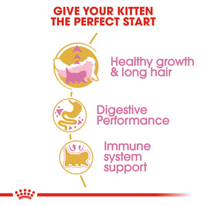 Royal Canin - Cat Persian Kitten Dry Food - Petservo