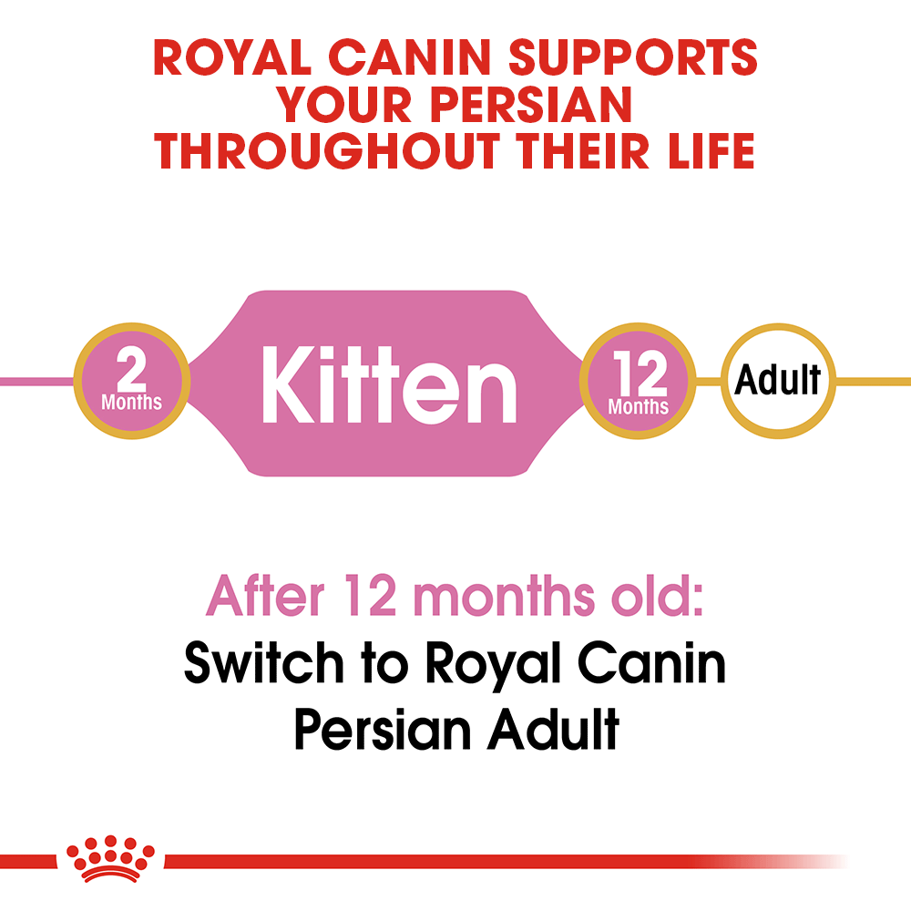 Royal Canin - Cat Persian Kitten Dry Food - Petservo