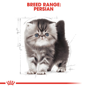 Royal Canin - Cat Persian Kitten Dry Food - Petservo