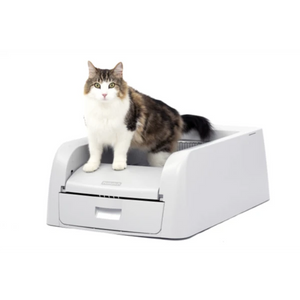 Petsafe - ScoopFree Clumping Self Cleaning Litter Box for Cats - petservo