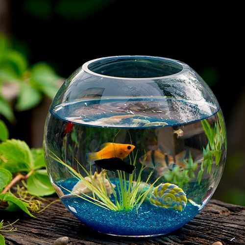 Ocean - 20L 35cm Clear Glass Bubble Planter Terrarium Fish Bowl