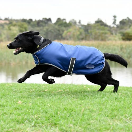 WeatherBeeta - ComFiTec Windbreaker Free Dog Coat 35cm - Dark Blue