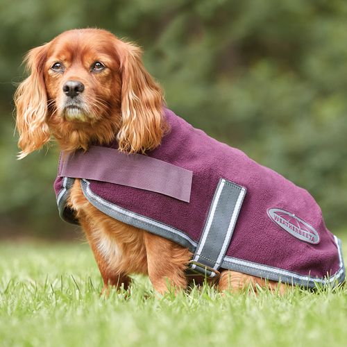 WeatherBeeta - ComFiTec Fleece Dog Coat 40cm-  Maroon/Grey