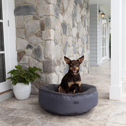 Baxter Bone - Charcoal All In One Donut Pet Bed - Small - petservo