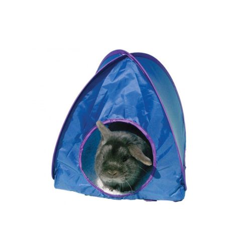 Rosewood - 2PK Polyester Fabric 90cm Pop-Up Tent Pet Canopy Shelter - Large - Blue