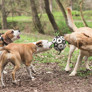 M-PETS - Interactive Dog Soccer Ball With Grab Tabs - Petservo