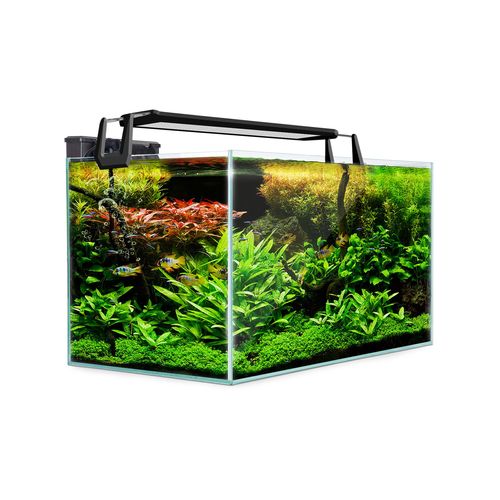 Dynamic Power Aquarium Fish Tank 70L Starfire Glass