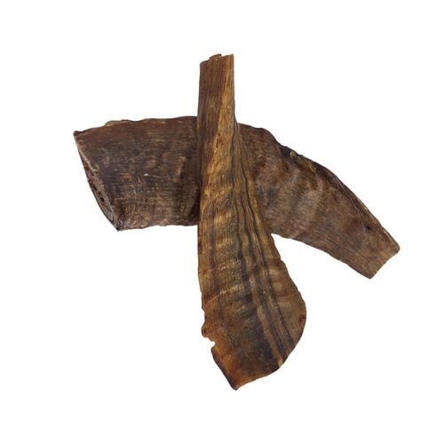 Trusty - Small Goat Horns Adult Dog Treats - 2 pieces - petservo