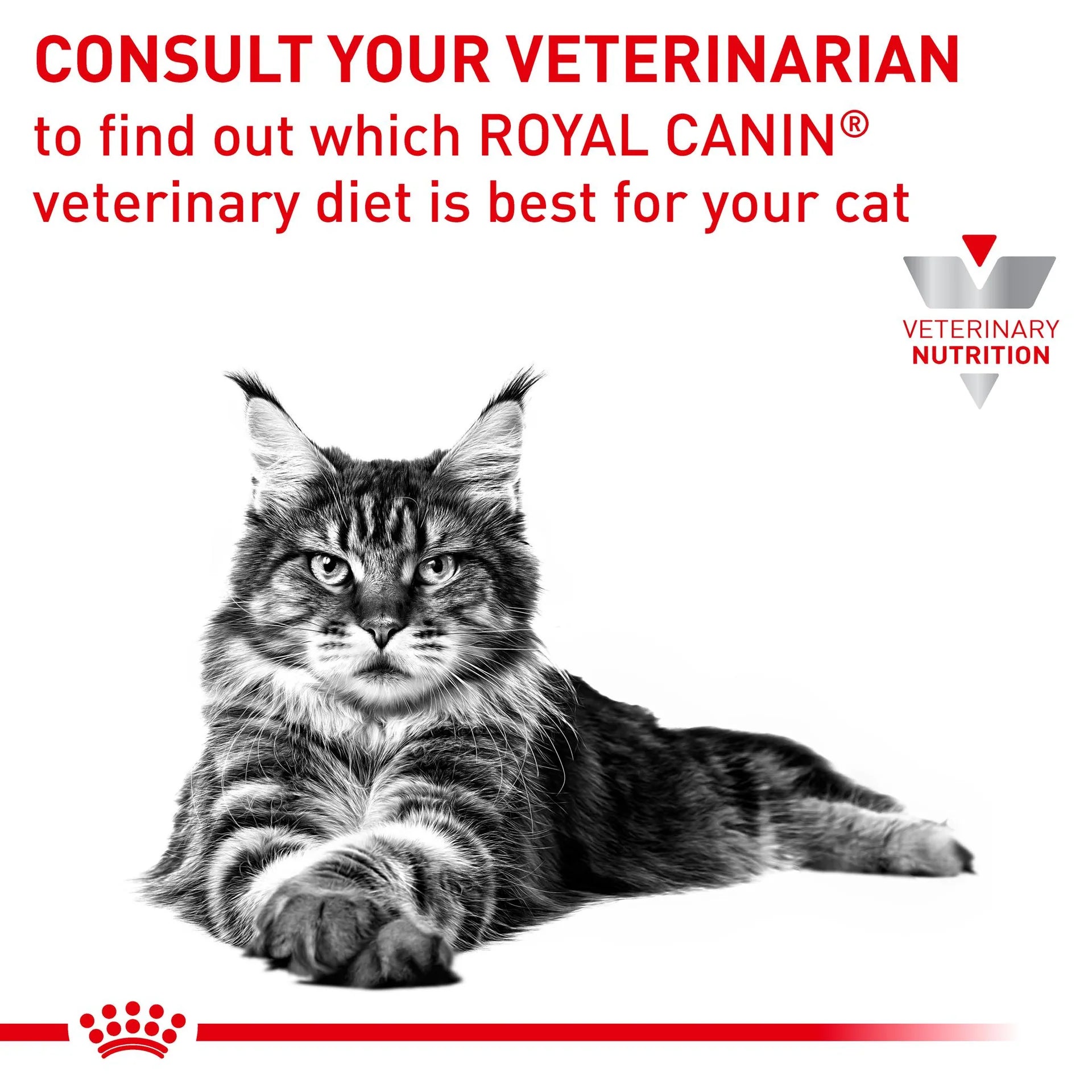 Royal Canin - Veterinary Diet Sensitivity Control Adult Dry Cat Food - Petservo