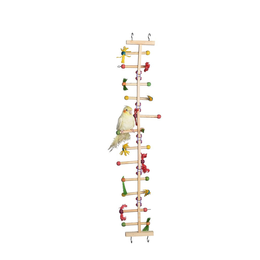 Nature Island - Forage n Play Ladder-S - Petservo