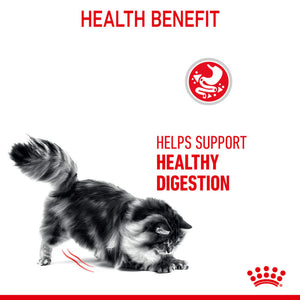 Royal Canin - Digestive Care Adult Dry Cat Food 4kg - Petservo