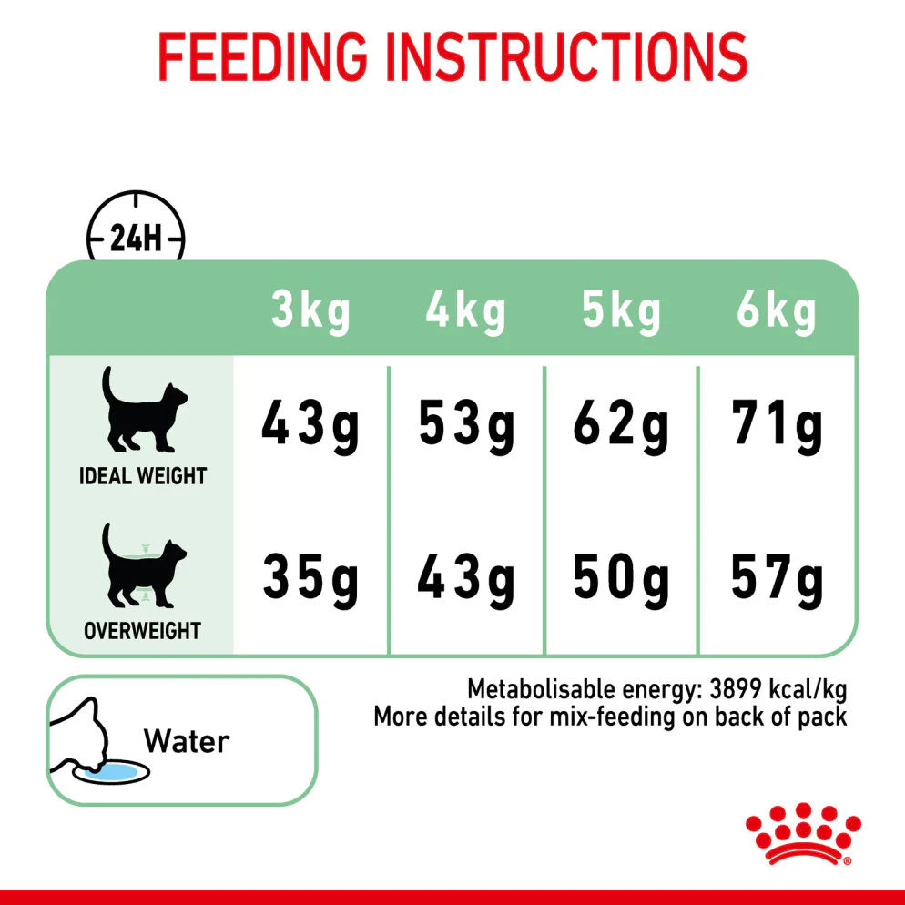 Royal Canin - Digestive Care Adult Dry Cat Food 4kg - Petservo