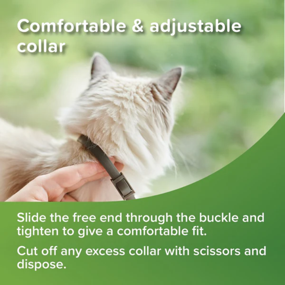 Beaphar - VETOpure Flea & Tick Collar Green Cat - Petservo