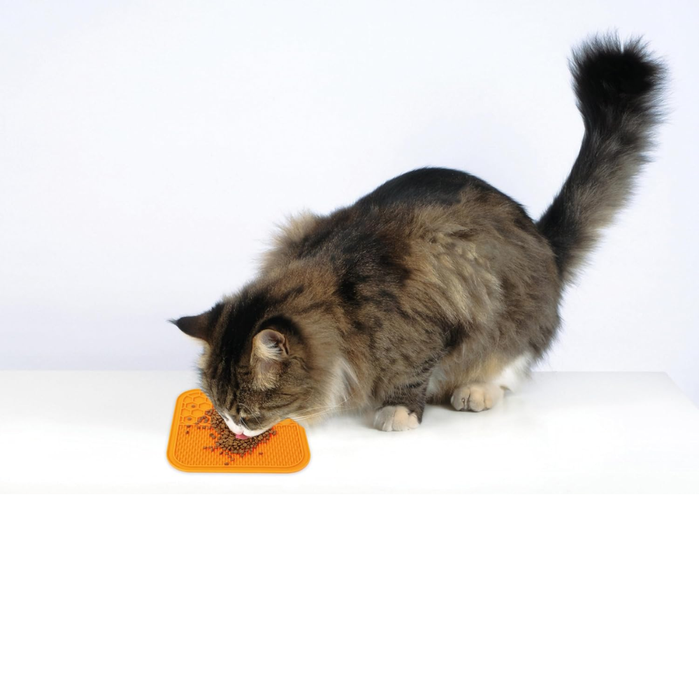 M-PETS - LECCA Mat Orange - petservo