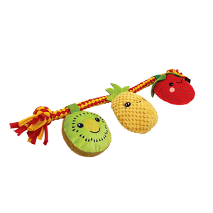 Baxter Bone - Summer Fruits On A Rope Pet Toy - Petservo