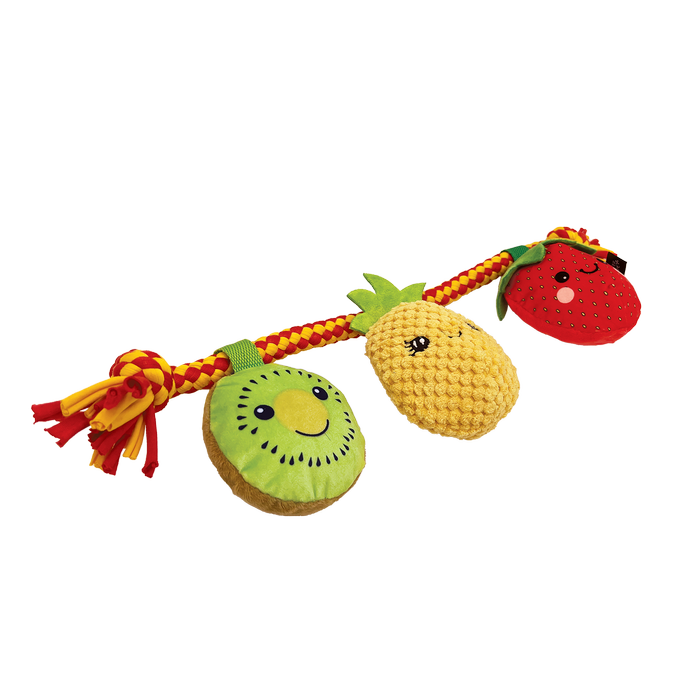 Baxter Bone - Summer Fruits On A Rope Pet Toy - Petservo