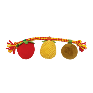 Baxter Bone - Summer Fruits On A Rope Pet Toy - Petservo