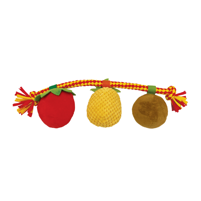 Baxter Bone - Summer Fruits On A Rope Pet Toy - Petservo