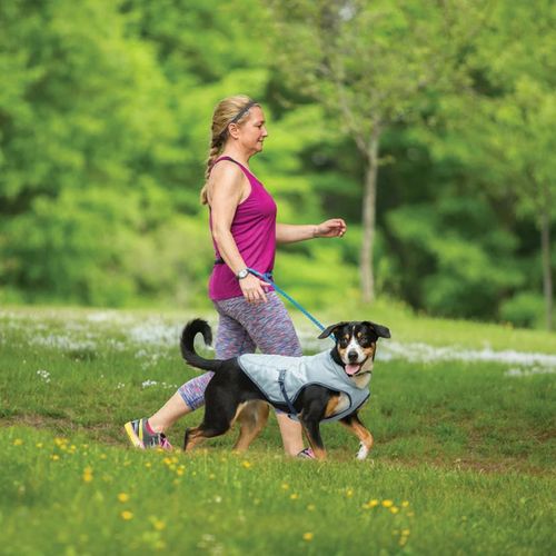 Kurgo Pets - Dog Core Cooling Vest - Large - Light Blue