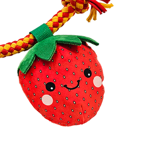 Baxter Bone - Summer Fruits On A Rope Pet Toy - Petservo