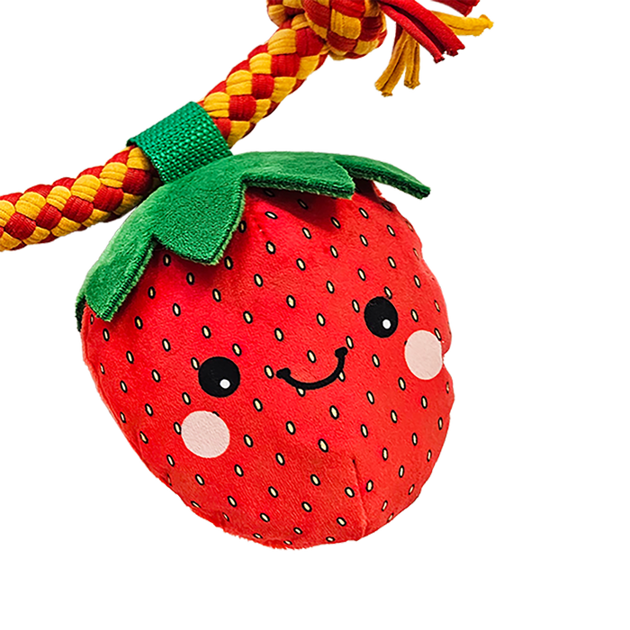 Baxter Bone - Summer Fruits On A Rope Pet Toy - Petservo