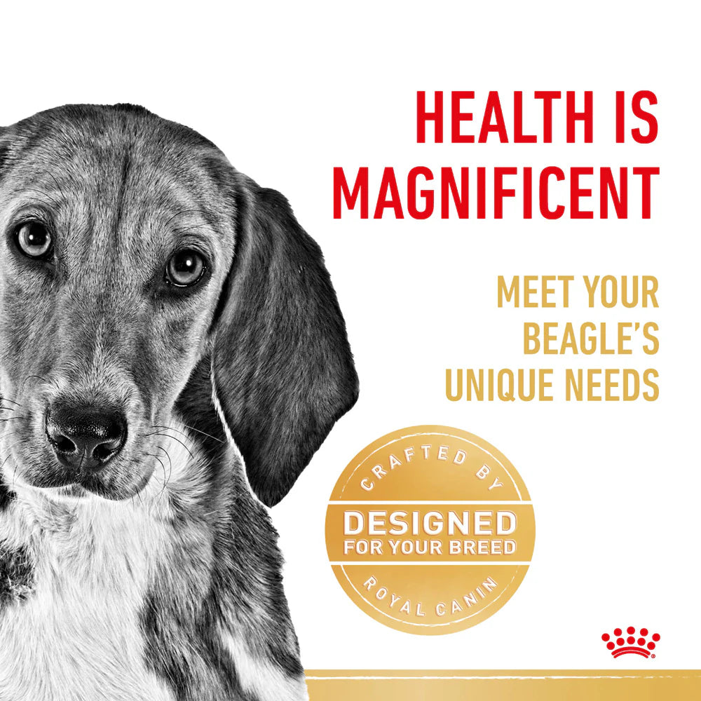 Royal Canin - Dog Beagle Adult Dry Food - Petservo