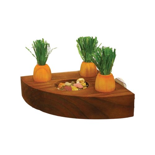 Rosewood - Carrot Toy 'n' Treat Holder - petservo