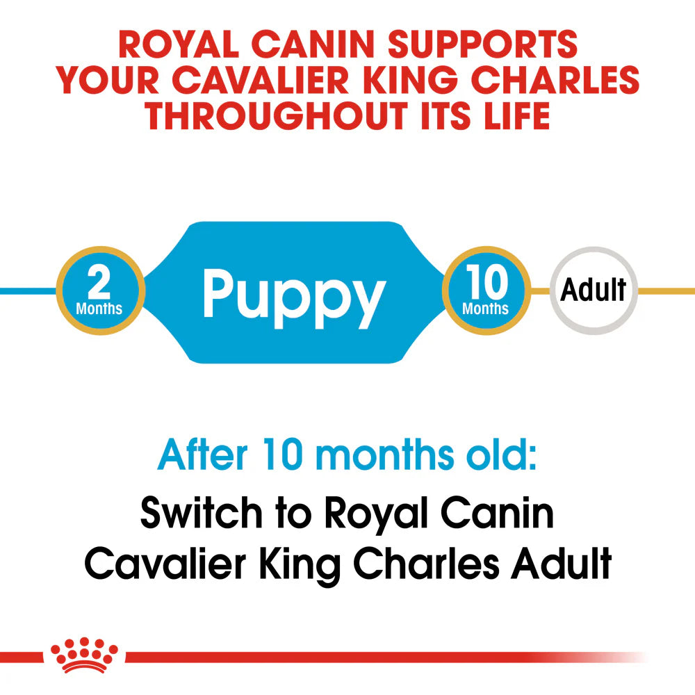 Royal Canin - Dog Cavalier King Charles Puppy Dry Food 1.5kg - Petservo