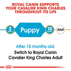 Royal Canin - Dog Cavalier King Charles Puppy Dry Food 1.5kg - Petservo