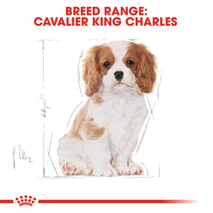 Royal Canin - Dog Cavalier King Charles Puppy Dry Food 1.5kg - Petservo