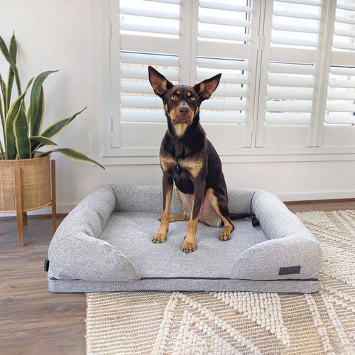 Baxter Bone - Taupe Removable Parts Ortho Foam Lounger Anti-Bacterial Fabric Pet Bed - petservo