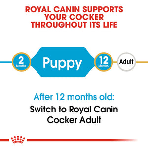 Royal Canin - Dog Cocker Spaniel Puppy Dry Food 3kg - Petservo