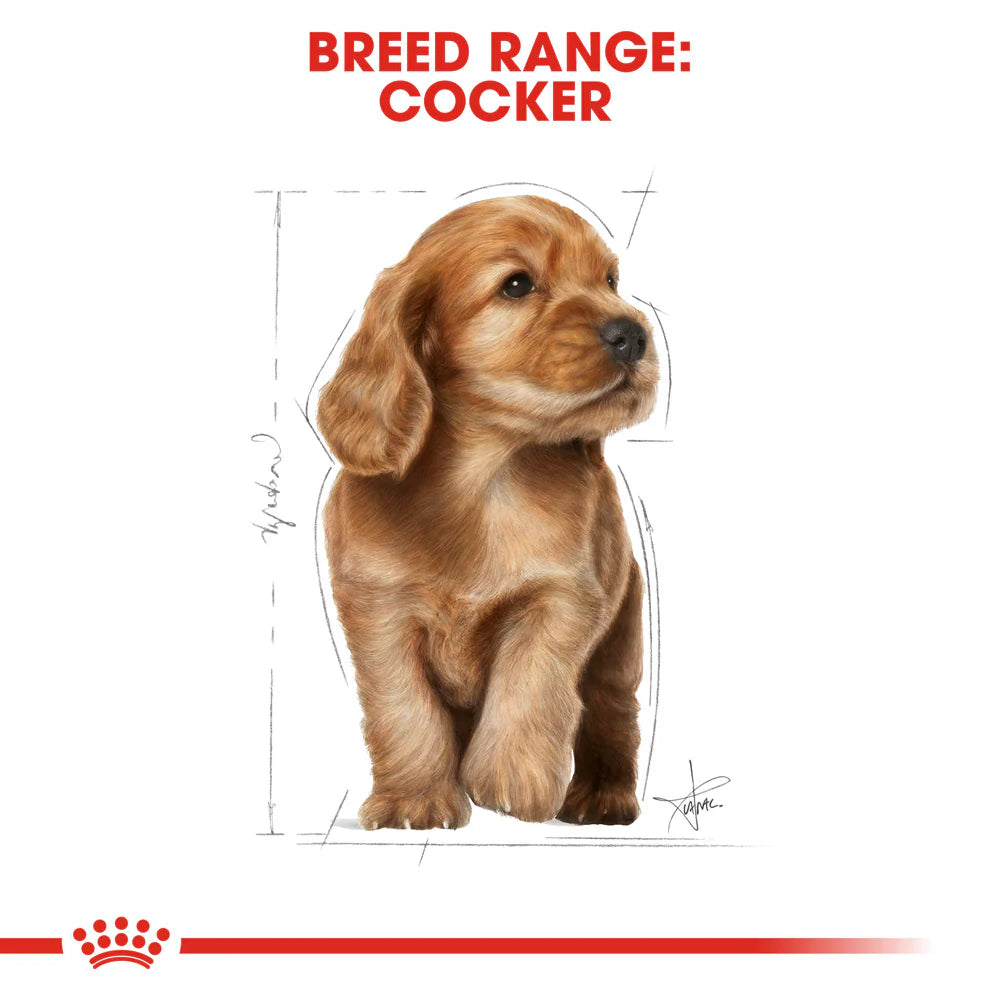 Royal Canin - Dog Cocker Spaniel Puppy Dry Food 3kg - Petservo