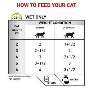 Royal Canin - Veterinary Diet Urinary S/O Moderate Calorie Adult Wet Cat Food 85g x 12 - Petservo