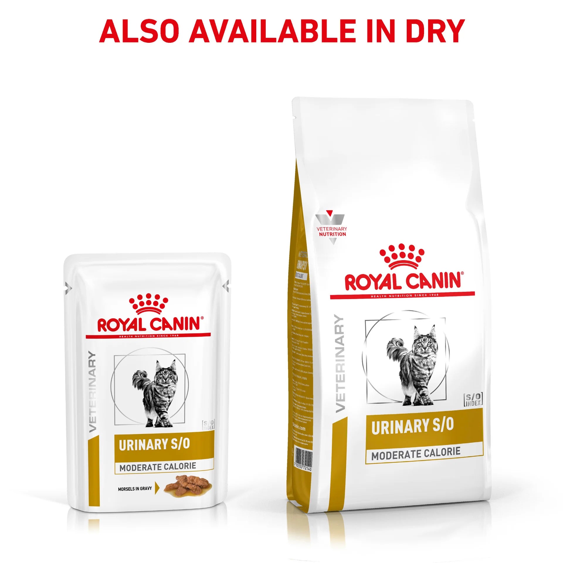 Royal Canin - Veterinary Diet Urinary S/O Moderate Calorie Adult Wet Cat Food 85g x 12 - Petservo