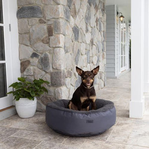 Baxter Bone - Charcoal All In One Donut Pet Bed - Large - petservo