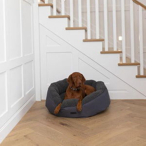 Baxter Bone - Charcoal All In One Donut Pet Bed - Large - petservo