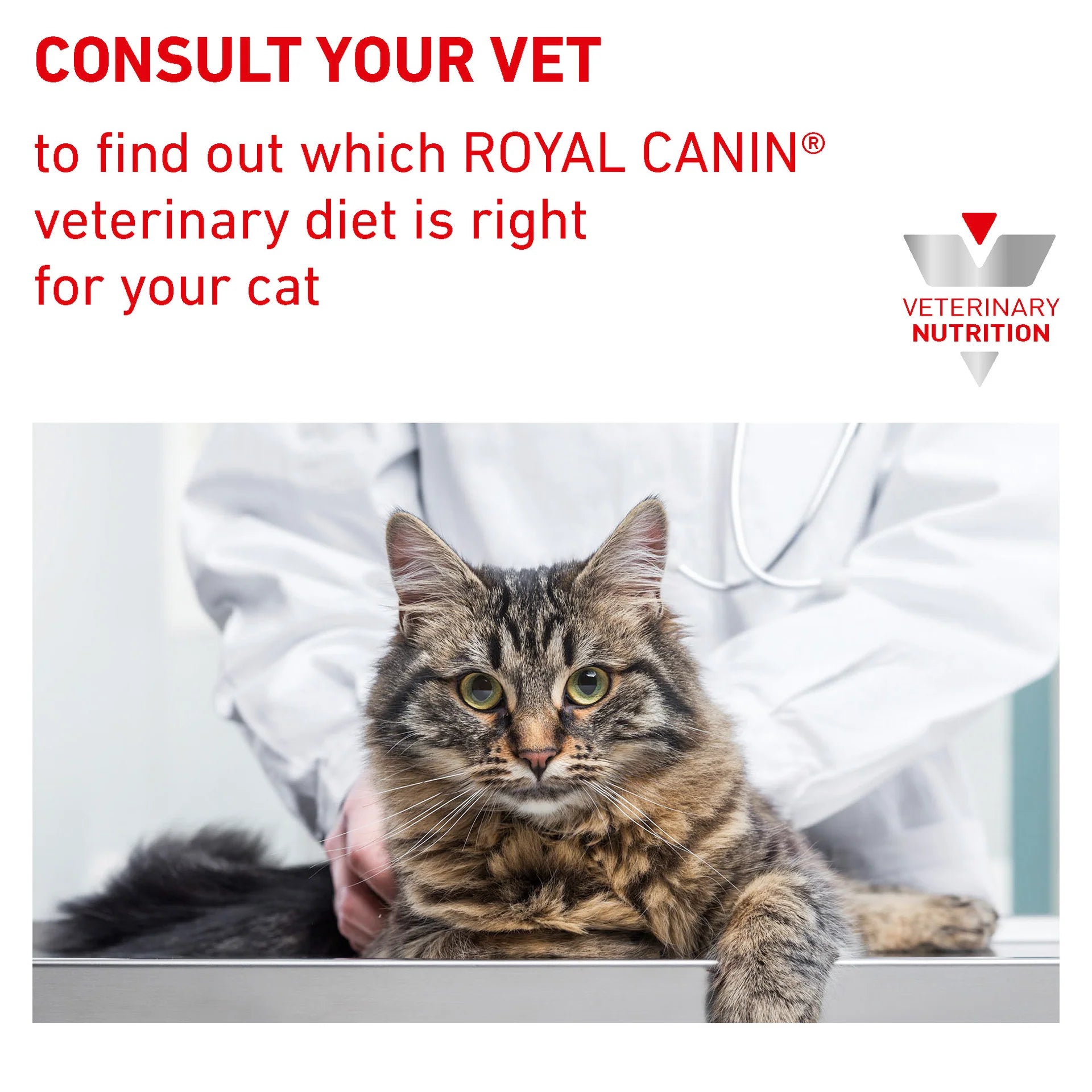 Royal Canin - Veterinary Diet Urinary S/O Adult Dry Cat Food - Petservo