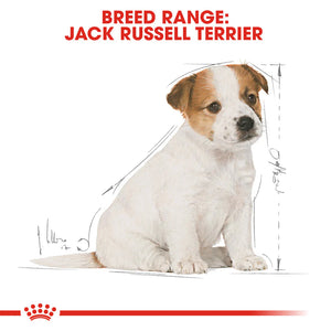 Royal Canin - Dog Jack Russell Terrier Puppy Dry Food 1.5kg - Petservo