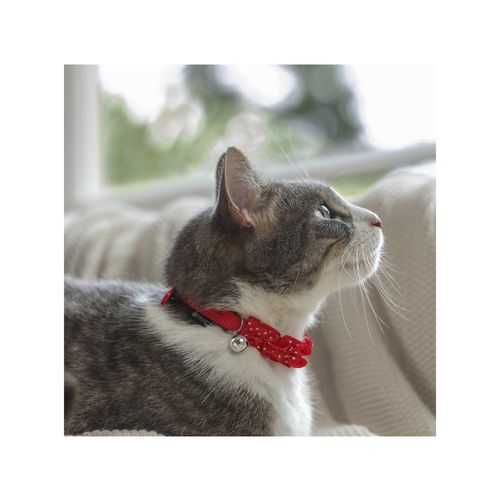 Purina Total Care - Ruffles Fashion Cat Collar - Red - petservo