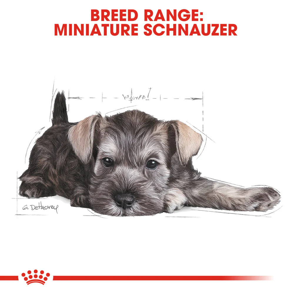 Royal Canin - Dog Miniature Schnauzer Puppy Dry Food 1.5kg - Petservo